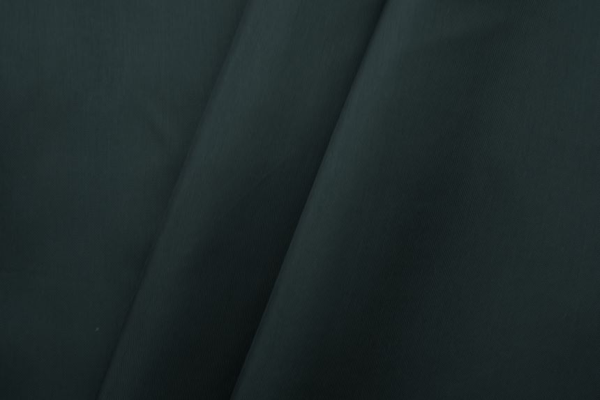 лесная ночь