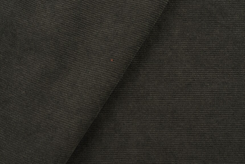 лесная ночь