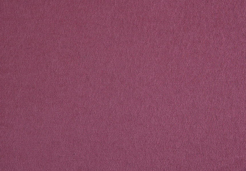 брусничный