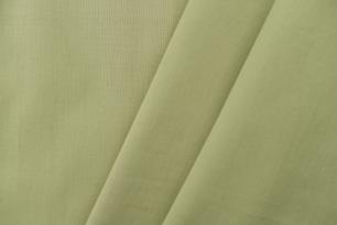 зеленая лилия