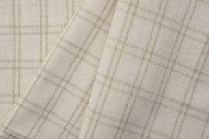 диз. клетка