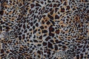 один дизайн