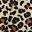 леопард
